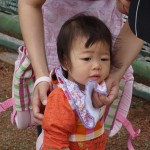 2016年5月15日 (122)