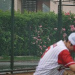 2016年5月21日(251)