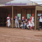 2016年5月22日2 (111)