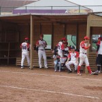 2016年5月22日2 (113)