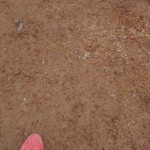 2016年5月22日2 (733)